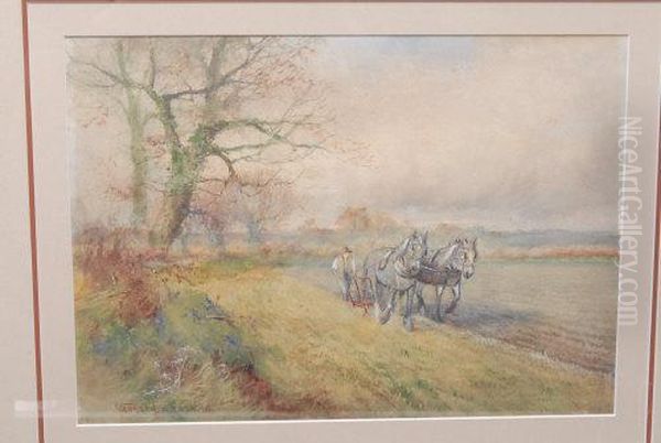 Heavy Horse In The Field - view 1
