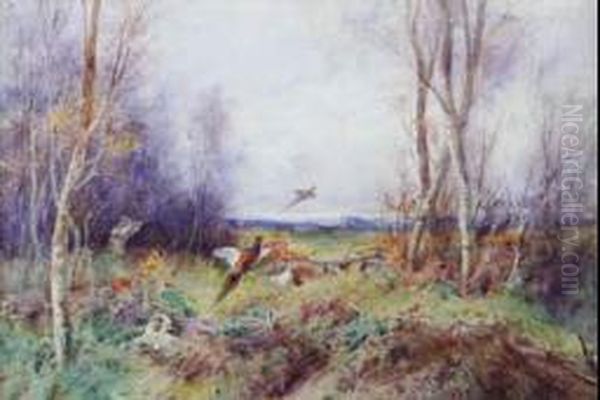 Pheasant Shooting - view 1