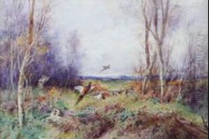 Pheasant Shooting