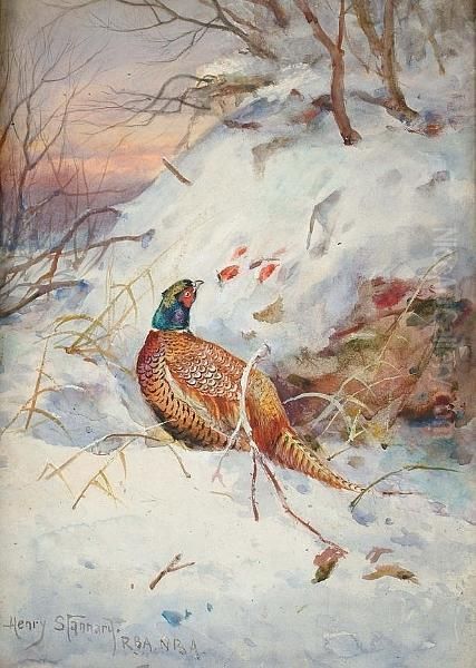 A Pheasant Foraging For Berries In A Snowscape - view 1