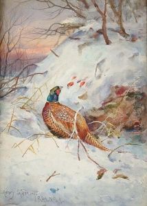 A Pheasant Foraging For Berries In A Snowscape