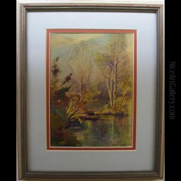 Creek Study; Landscape Study - view 1