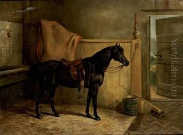 Cheval A L'ecurie - view 1