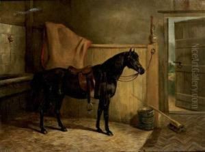 Cheval A L'ecurie Cheval A L'ecurie