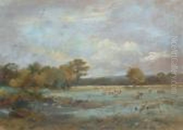 The Water Meadows - view 1