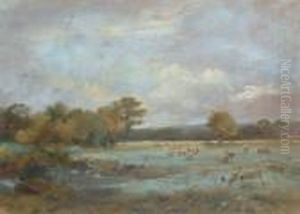 The Water Meadows