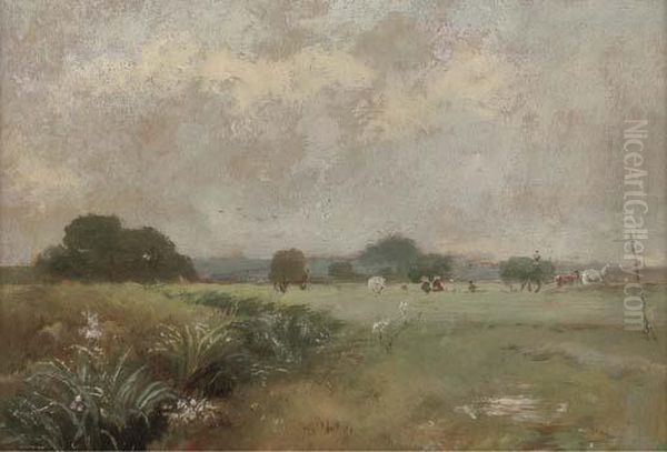Hale Farm Water Meadows - view 1