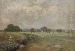Hale Farm Water Meadows by Arthur J. Stark