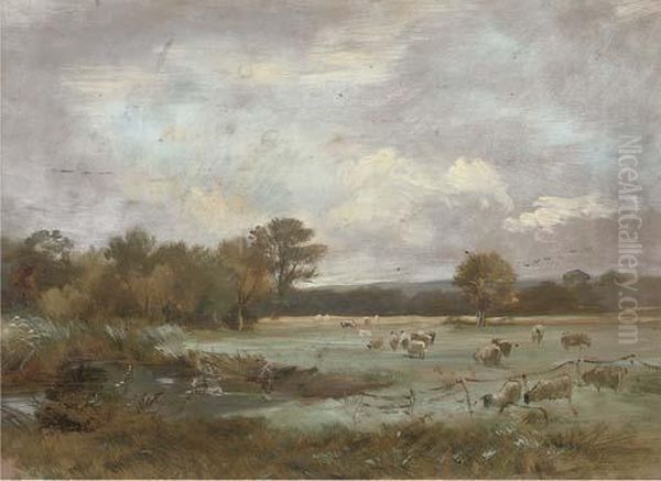 On Hale Farm Water Meadows - view 1