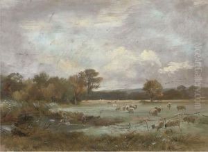 On Hale Farm Water Meadows