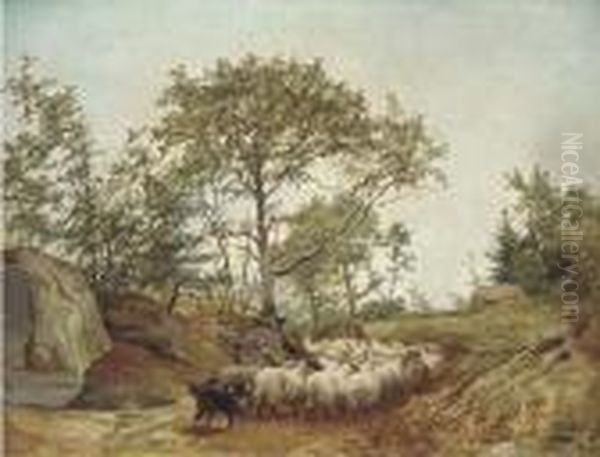 Counting The Sheep - view 1