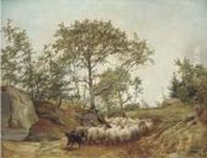 Counting The Sheep