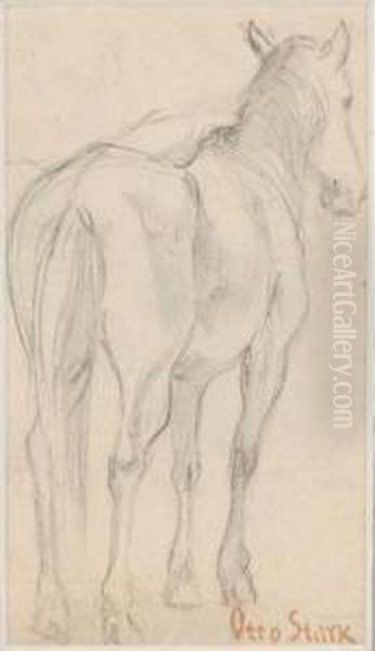 Sketch Of A Horse - view 1