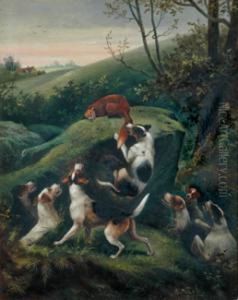 Hounds Andfox