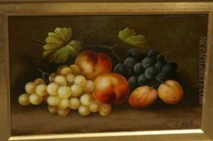 Still Life Of Fruit