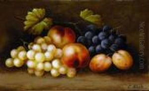 Still Life Of Fruit
