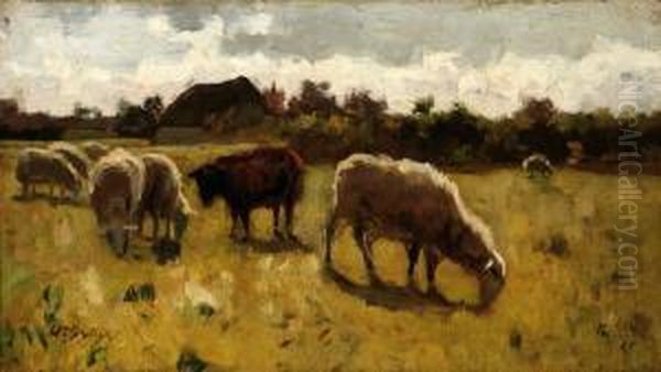 Grazing Sheep - view 1