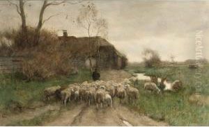 Sheep Going To The Stable by Willem II Steelink