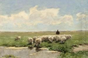 Shepherd And His Flock By A Fen