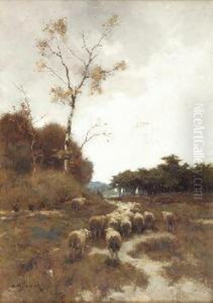 The Return Of The Flock - view 1