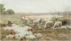 A Flock Of Sheep A Flock Of Sheep