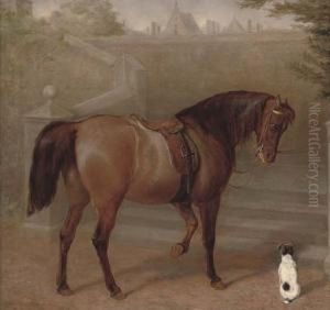 The Doctor's Pony by Gourlay Steell