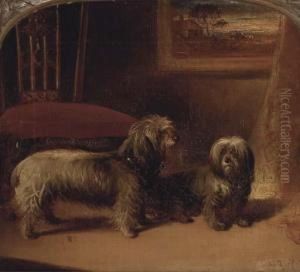 Two Dandie Dinmont Terriers In An Interior by Gourlay Steell