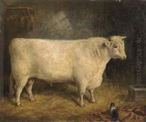 A Prize Bull by Gourlay Steell