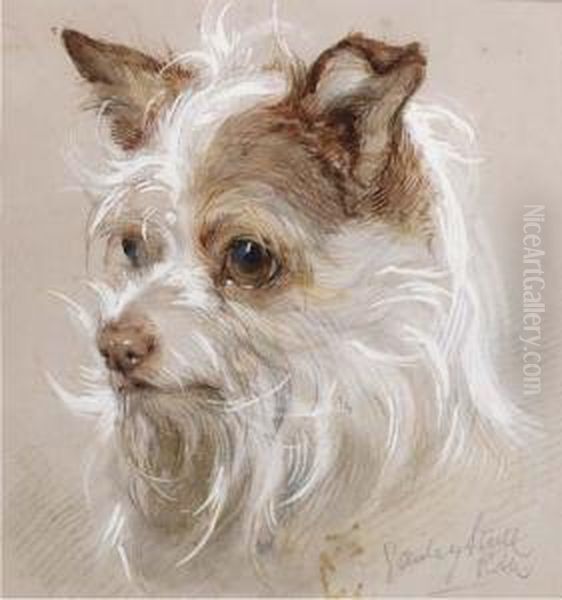 Mite, A Terrier - view 1