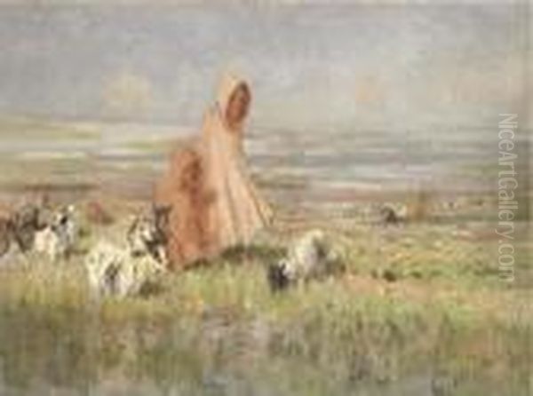 A Moroccan Goat Herd - view 1