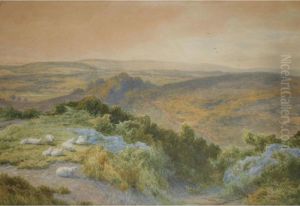 A Common In The South-down Country by John Steeple