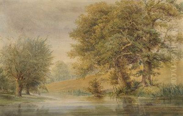 Trees On A River Bank - view 1