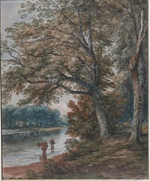 Woodland River Scene With Cattle Watering In The Foreground - view 1