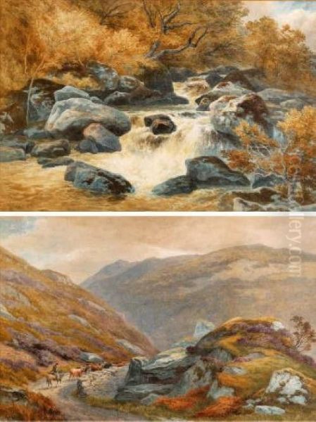 Falls And The Drover - view 1