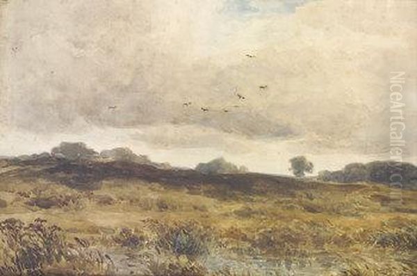 Moorland Study - view 1