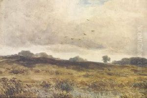 Moorland Study by John Steeple