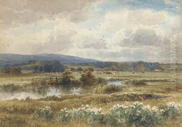Cows Grazing In The Water Meadows - view 1