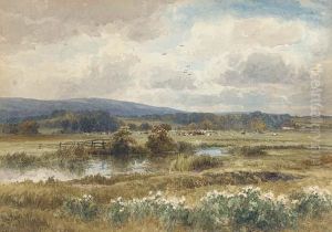 Cows Grazing In The Water Meadows by John Steeple