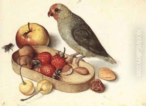Still-Life with Pygmy Parrot by Georg Flegel