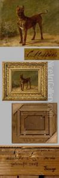 Danische Dogge - view 1