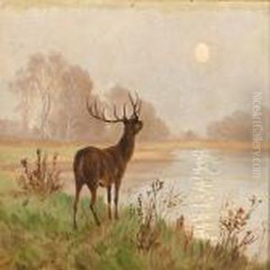 A Deer In The Morning Light