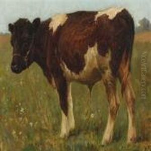 Bull Calf. by Poul Steffensen