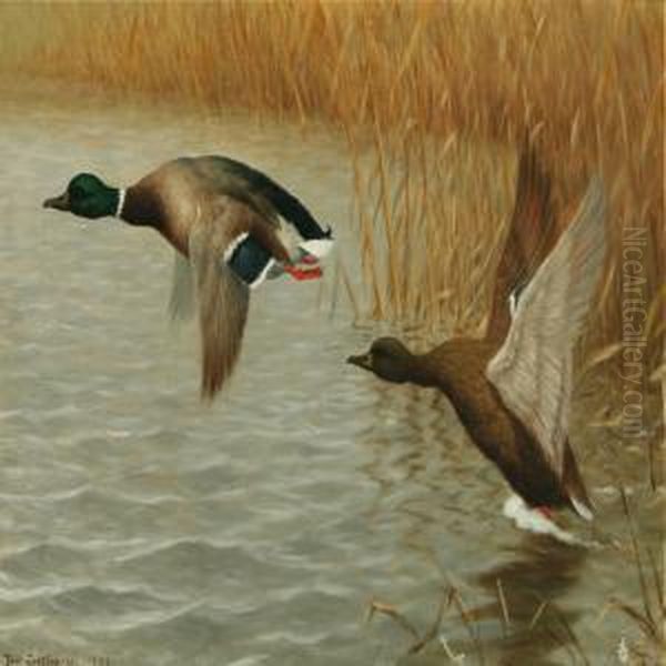 Flying Ducks - view 1