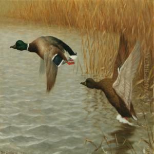 Flying Ducks by Poul Steffensen