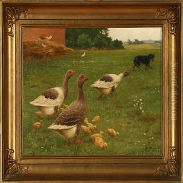 Geese Quacks A Dogaway - view 1