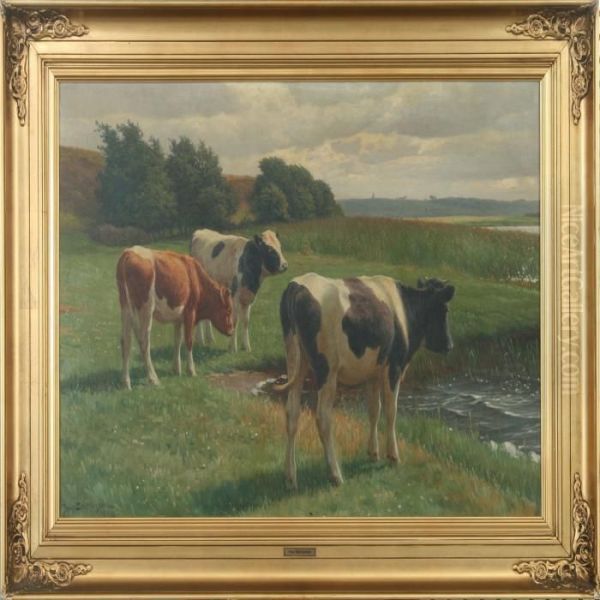 Grazing Cows By A Lake - view 1