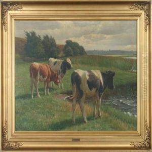 Grazing Cows By A Lake