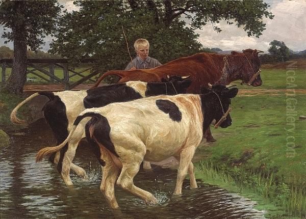 A Boy Herding Cattle Through A Stream - view 1