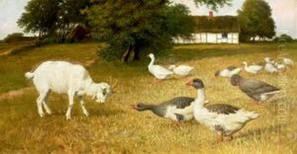 A Goat, Ducks And Geese In The Field. Signed P. St. 1905 - view 1