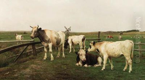Cows In A Meadow - view 1